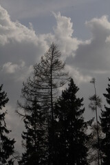 clouds in the mountains