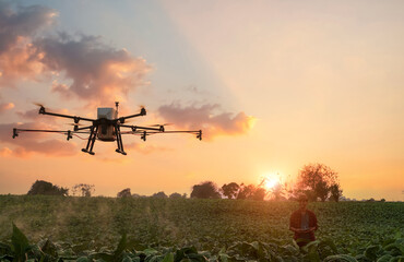 Fototapeta na wymiar Farmers control drones for Spray water to fertilize the crops for the corn plants. Beautiful sky background. Modern technology tools for agriculture organic farming