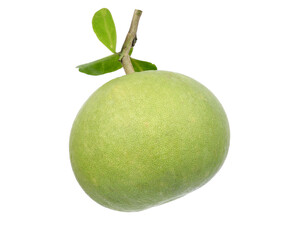 Pomelo fruit an isolated on white background