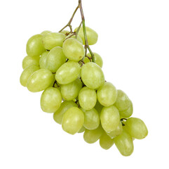 Fresh green grapes Isolated on white background