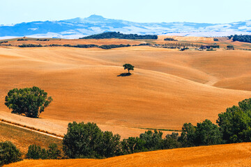 Fototapeta na wymiar panoramic view of Tuscany landscape