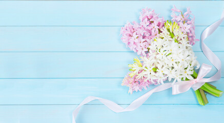 Bouquet of pink and white hyacinths on a blue wooden background