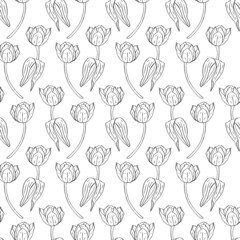 Monochrome black and white vintage seamless pattern with line art tulips flowers on white background