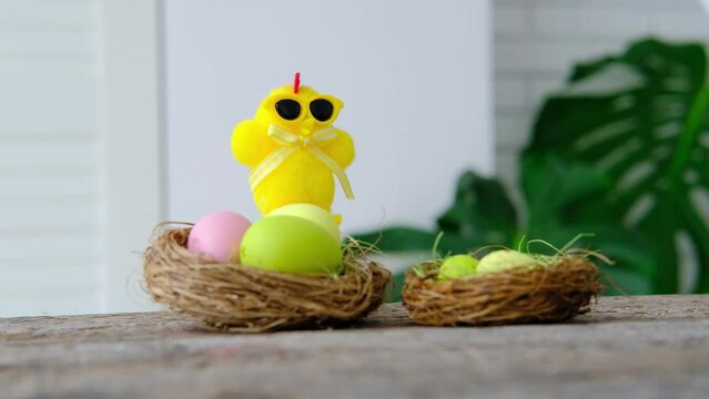 A toy chicken in sunglasses peeks out from behind Easter eggs and hides. Easter. Humor, fun. 
