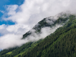 In the Pennine Alps, also called the Valais Alps: Wooded mountain slope with fog and clouds in the morning. Seen in the Swiss Alpine valley 