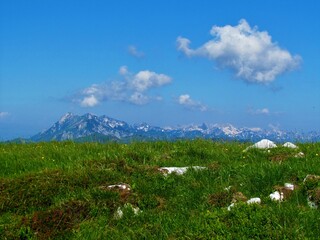 View of the mountains in the Julian alp in Gorenjska region of Slovenia and a mountain meadow in...