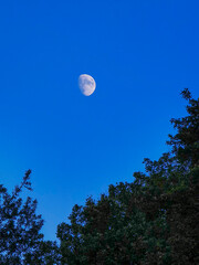 blue sky and half moon
