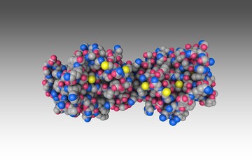 Space-filling molecular model of human interleukin-37 on gray background. Rendering based on protein data bank entry 5hn1. Scientific background. 3d illustration