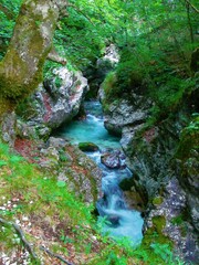 Beutifull bright green mountain stream flowing through a narrow gorge in Moznica valley in Slovenia