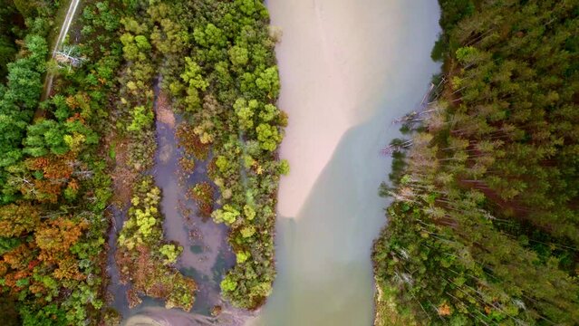 Straight down drone shot over river in Northern Michigan during early autumn showcasing changing foliage and flowing river. Mesick Michigan