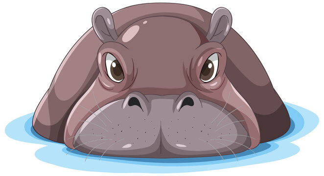 Front of hippopotamus face in the water