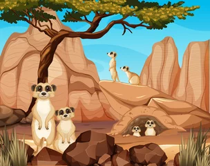 Desert forest background with meerkats © blueringmedia