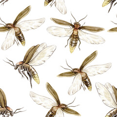 Vintage watercolor seamless pattern with fireflies on white background.
