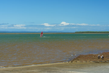 View across Moreton Bay from Wellington Point, with a windsurfer in the water, and pelicans and seagulls on the shore. Queensland, Australia 