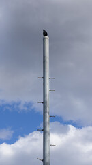 曇天の中、電柱に止まる不吉なカラス