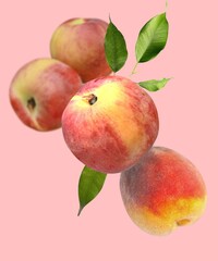 Fresh Peach fruit on a colour background