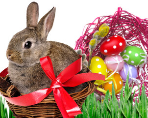 easter eggs in a nest