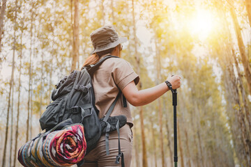 Asian woman hiking trail and trekking in the forest alone. Travel and outdoor activity. Relax and recreation in autumn holiday.