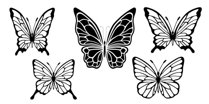 Butterfly silhouette. A set of silhouettes of butterflies on a white background