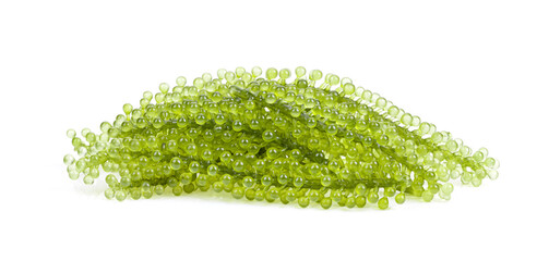 Sea grapes ( green caviar ) seaweed on white - obrazy, fototapety, plakaty