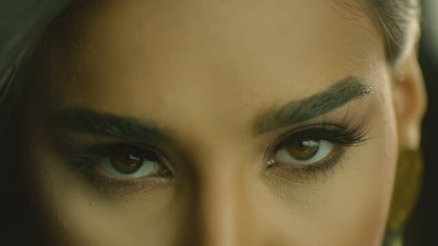 Close-up portrait of nice-looking  multi race beautiful elegant young woman looking at camera. Advertisement of Fashion with Young Woman . Fashion, beauty. Female portraits . Shot on ARRI ALEXA camera