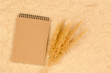 Blank notepad with kraft paper on crumpled beige background with pampas grass. Form for...