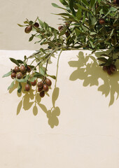 Olives stylish background on the wall with summer shadow. Nature bio aesthetic minimalist wallpapers