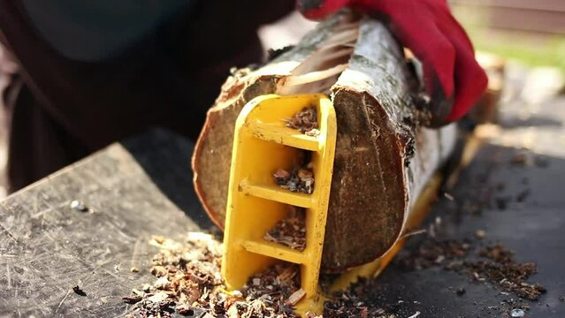 Close up of male hands chopping birch firewood on a hydraulic wood splitter. Sawmill. Birch firewood for fireplac.