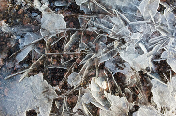 Winter ice crystals frost abstract pattern, Frozen water background cold temperature below zero