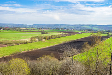 Fototapeta na wymiar Beautiful landscape view with green fields in spring