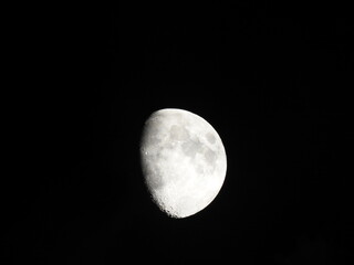 The Moon 