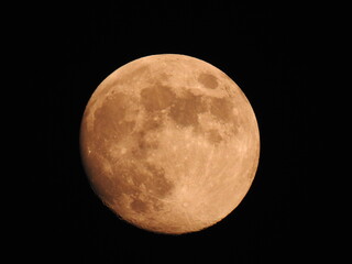 The Moon  © Nicola