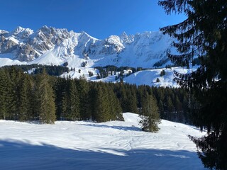 Winter ambience and beautiful idyllic atmosphere on the snow-capped Alpine mountain Alpstein in the Appenzell Alps massif - Switzerland (Schweiz)