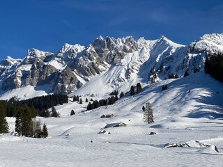 Winter ambience and beautiful idyllic atmosphere on the snow-capped Alpine mountain Alpstein in the Appenzell Alps massif - Switzerland (Schweiz)