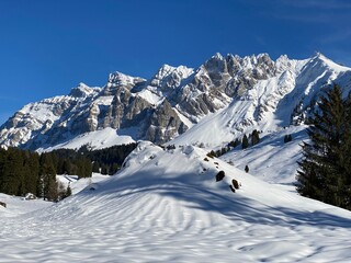 Fototapeta na wymiar Winter ambience and beautiful idyllic atmosphere on the snow-capped Alpine mountain Alpstein in the Appenzell Alps massif - Switzerland (Schweiz)