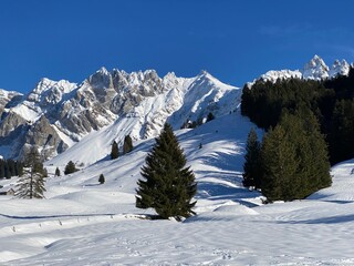 Winter ambience and beautiful idyllic atmosphere on the snow-capped Alpine mountain Alpstein in the Appenzell Alps massif - Switzerland (Schweiz)