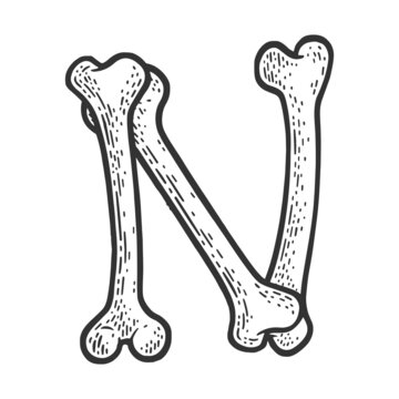 letter N made of bones sketch engraving vector illustration. Bones font. T-shirt apparel print design. Scratch board imitation. Black and white hand drawn image.