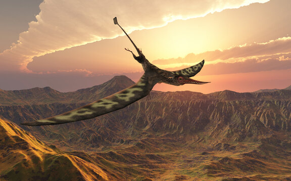 Flugsaurier Rhamphorhynchus über einer Landschaft bei Sonnenuntergang