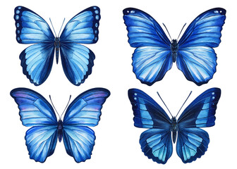 Watercolor colorful butterflies isolated on white background. Spring blue butterfly illustration.