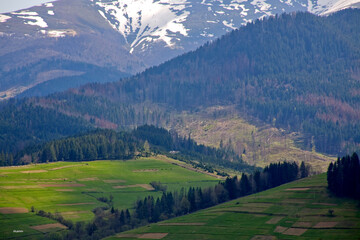 Fototapeta premium landscape in the morning