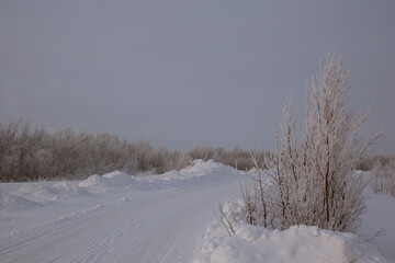 A snow-covered northern road in a severe frost. Frozen shrubs on the side of a winter highway in Siberia