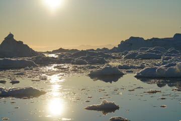 iceberg in polar regions