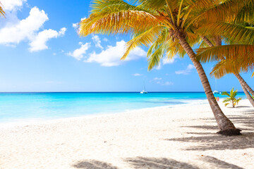 Fototapeta na wymiar Vacation summer holidays background wallpaper - sunny tropical exotic Caribbean paradise beach with white sand, palms