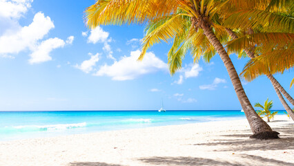 Obraz na płótnie Canvas Vacation summer holidays background wallpaper - sunny tropical exotic Caribbean paradise beach with white sand, palms