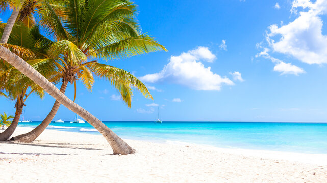 Vacation summer holidays background wallpaper - sunny tropical exotic Caribbean paradise beach with white sand, palms