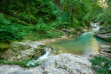 River in forest with foliage and rocks.