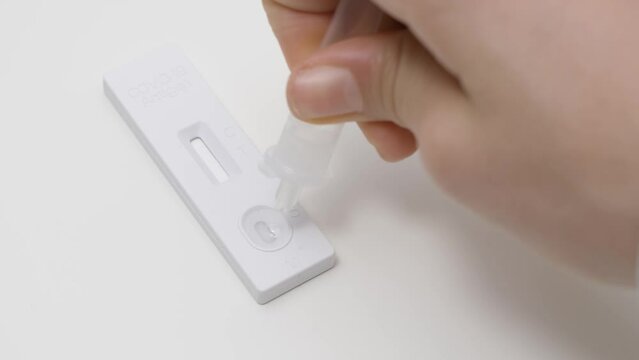 Hands place sample into the covid-19 antigen diagnostic test device. Teenage boy doing self-test before school lesson at home. 4k footage