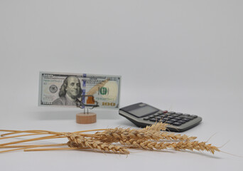 Dry ears nearby are banknotes, the global food crisis, grain exports, crop growth
