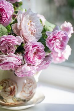 french garden pink roses in a vase on the window, summer day, cozy home, fragrances