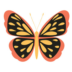 butterfly flat design on white background,isolated